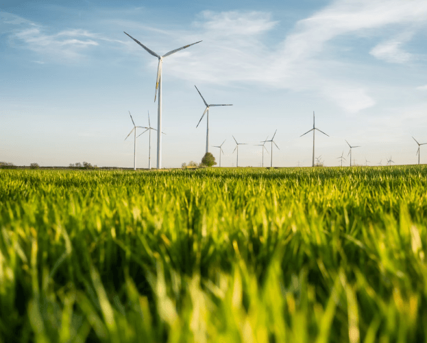 A field of wind turbines.