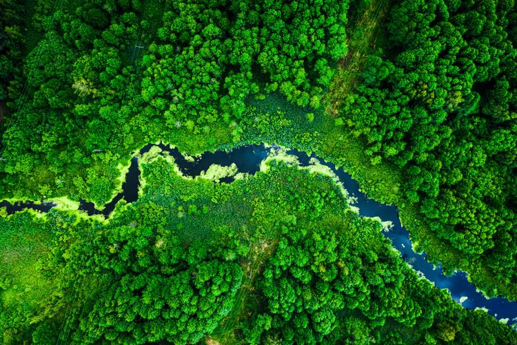 Amazing blooming algae on green river aerial view