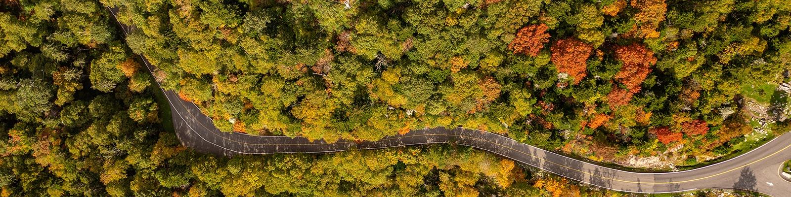 Aerial View of Winding Road in the Fall